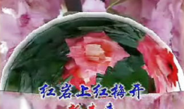 1717漫画,穿越时空的奇幻冒险之旅